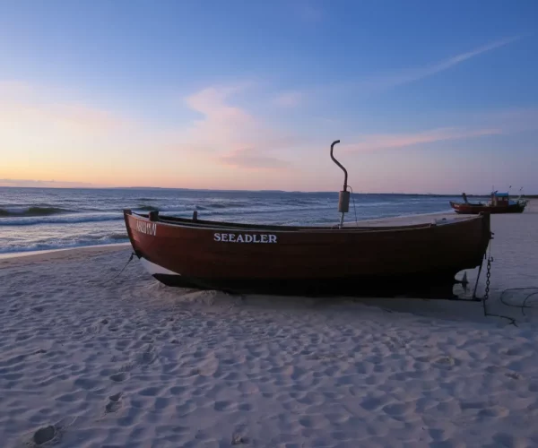 Firefly_recreate the following image in a soft and slightly romantic touch. golden hour and b 308941