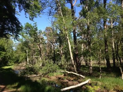 Unberührte Natur rund um Zingst - in wenigen Minuten im Grünen