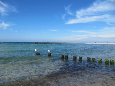 Ein Blick auf's Meer - der Strand von Zingst