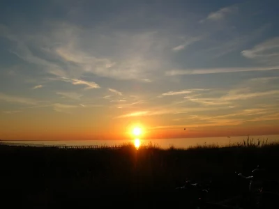 Schöne Landschaft rund um Zingst - ein Ort zum Ausspannen